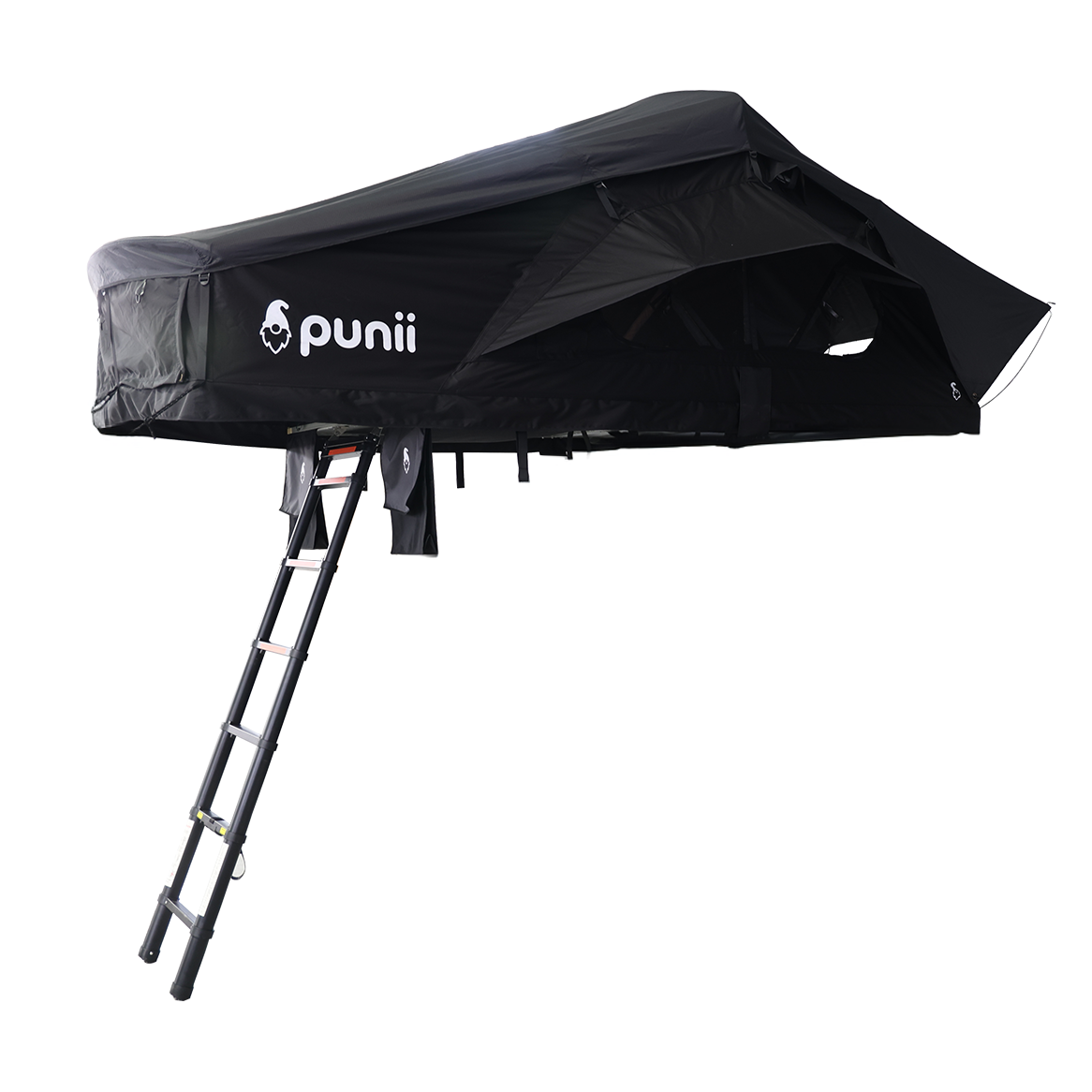 punii moenga S