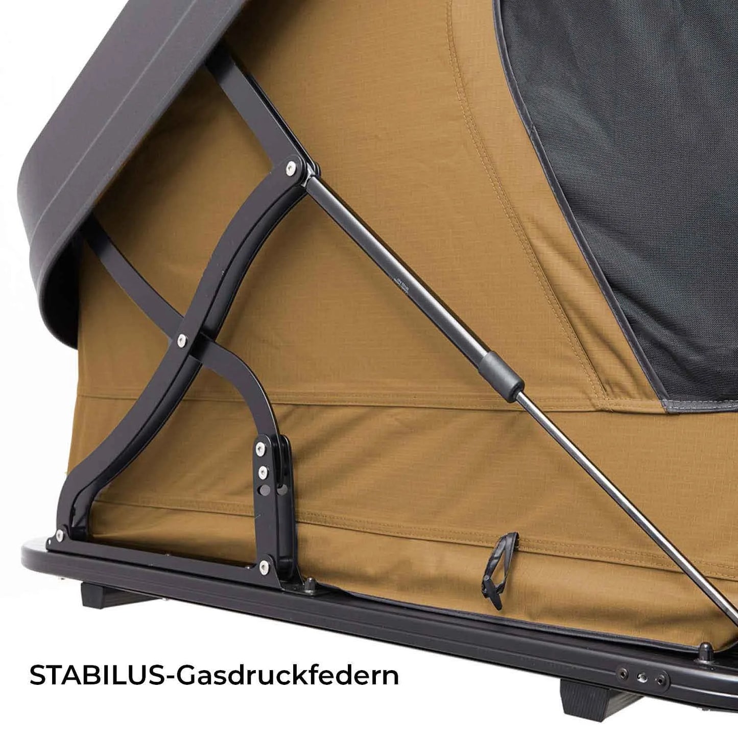 Vickywood MIGHTY OAK 190 mieten