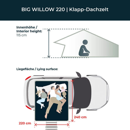 Vickywood BIG WILLOW